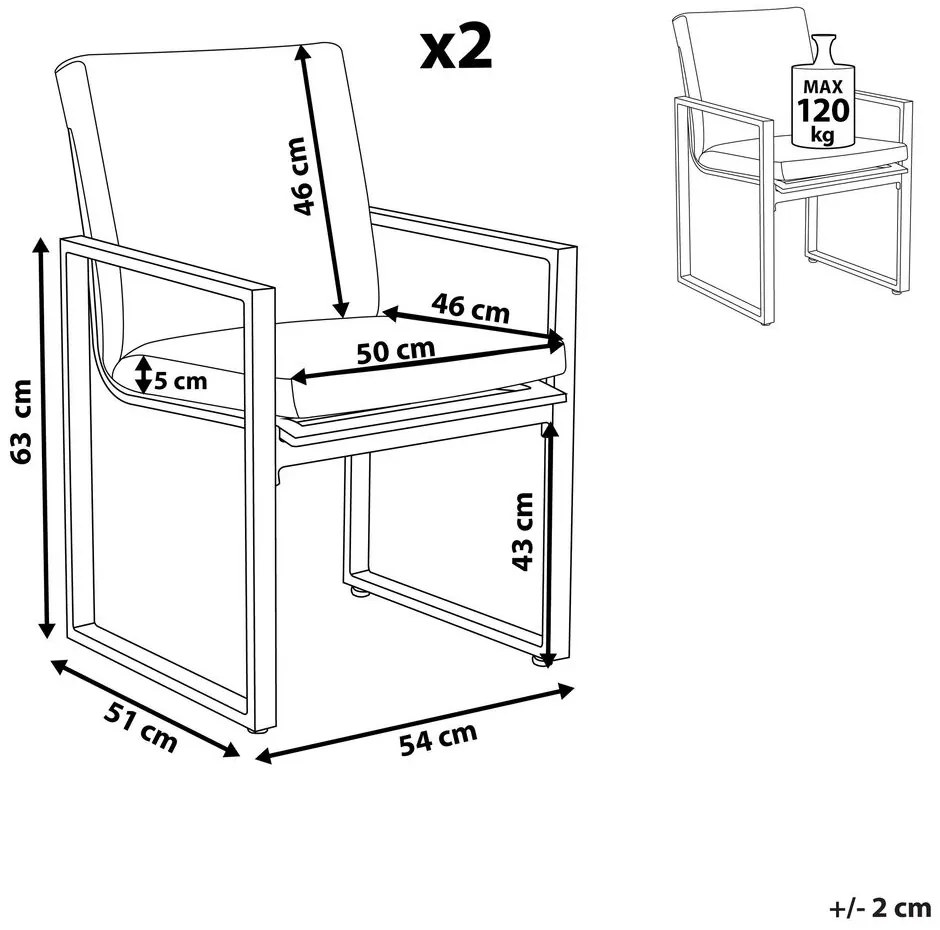Set scaune 2 buc. Paole (gri). 1011537