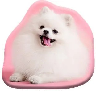 Câine Pomeranian pernă decorativă 39x37 cm Velur