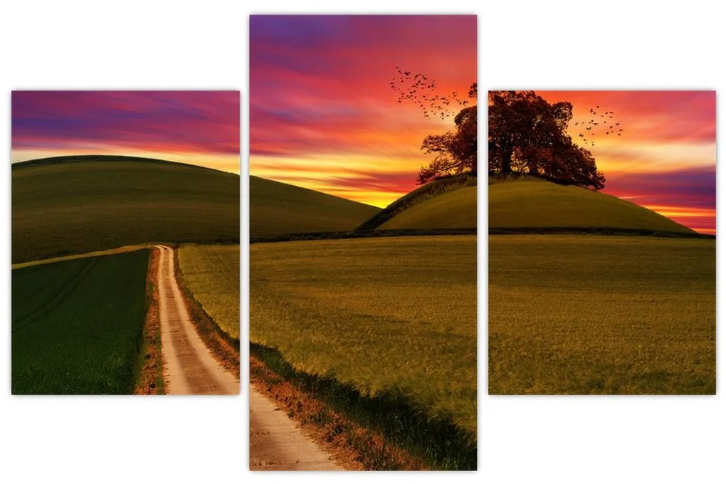 Tablou câmpului cu apus de soare (90x60 cm)