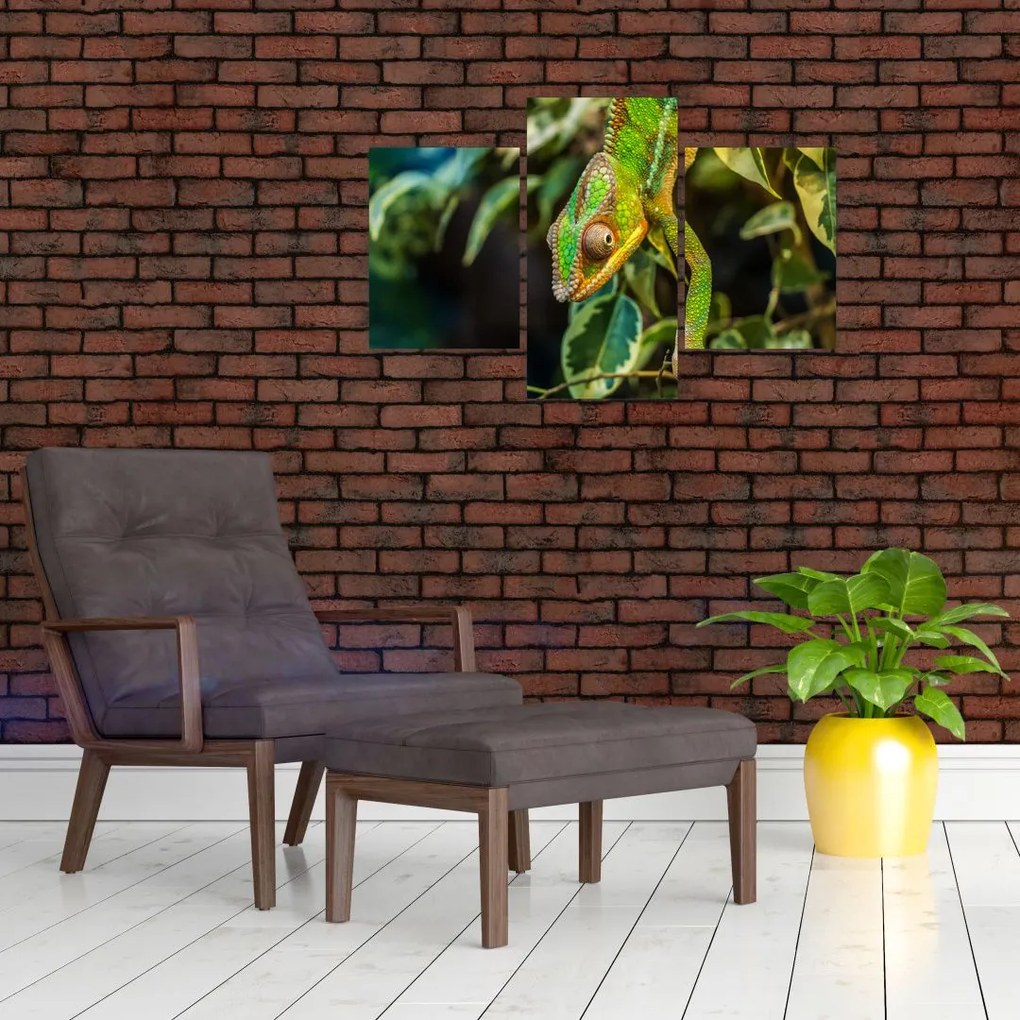 Tablou cu cameleon (90x60 cm)