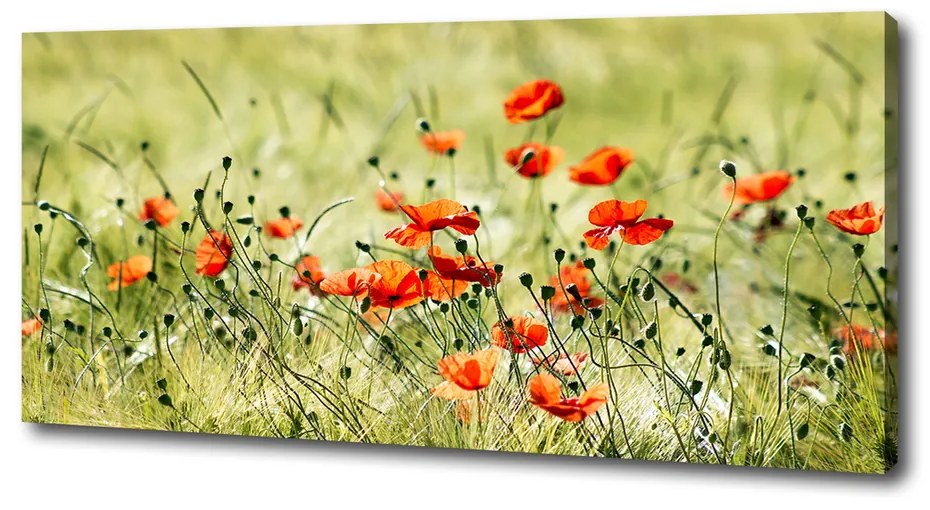 Imprimare tablou canvas Maki