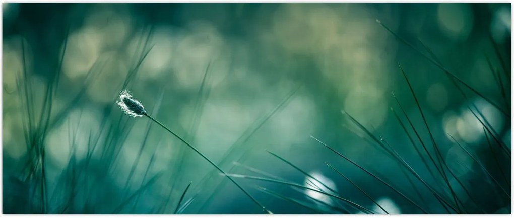 Tablou - Detaliu iarbă (120x50 cm)