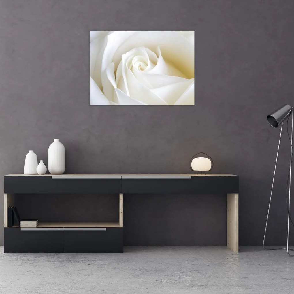 Tablou cu tandafir alb (70x50 cm)
