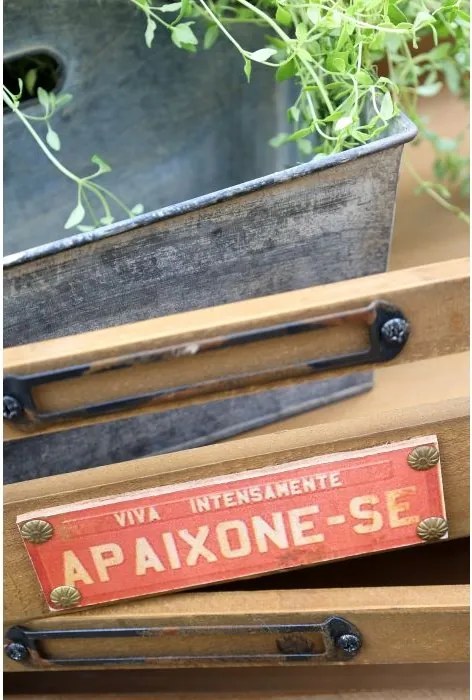 Cutie din zinc antichizat cu 2 compartimente și mâner
