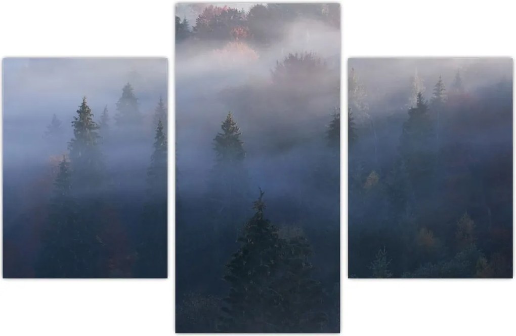 Tablou - Pădure în ceță, Carpați, Ucraina (90x60 cm)