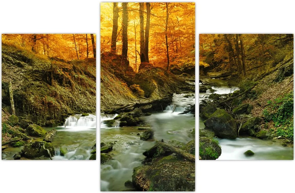 Tablou - Pădure (90x60 cm)