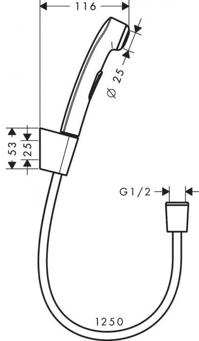 Set de dus igiena intima, Hansgrohe Calos Bidette, cu agatatoare si furtun, crom, 32129000