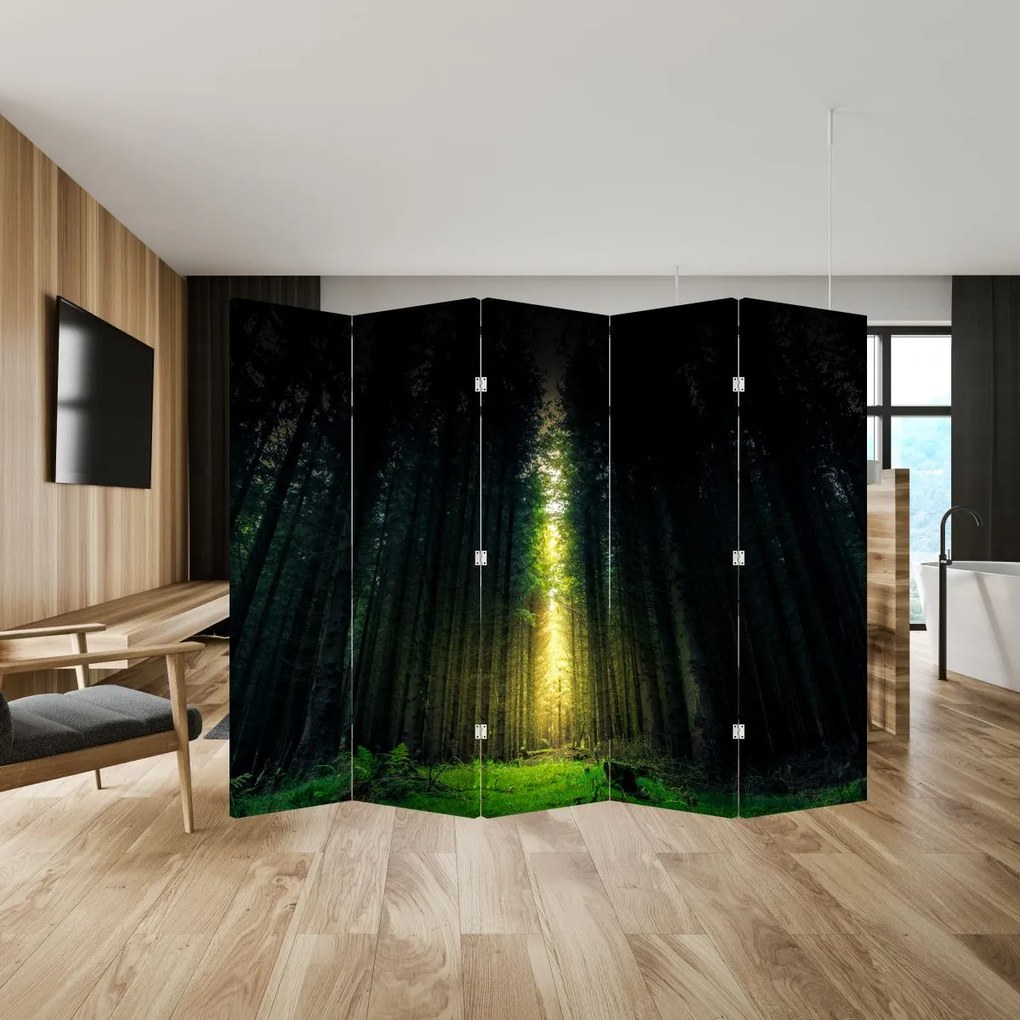 Paravan - Pădurea întunecată (210x170 cm)