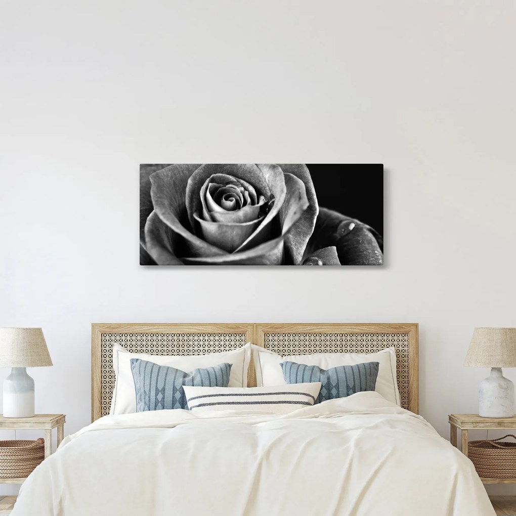 Tablou - Trandafir,alb-negru (120x50 cm)