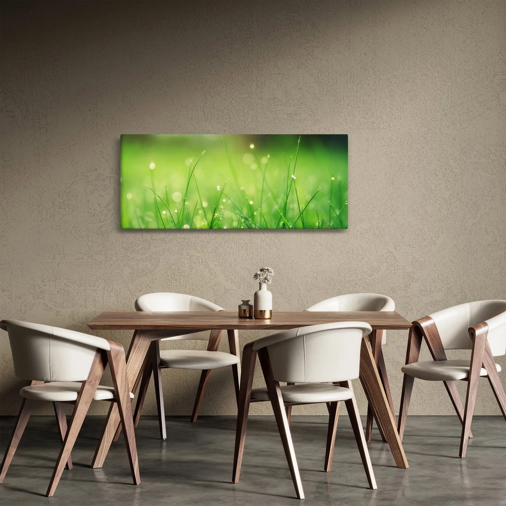 Tablou - roua pe iarbă (120x50 cm)