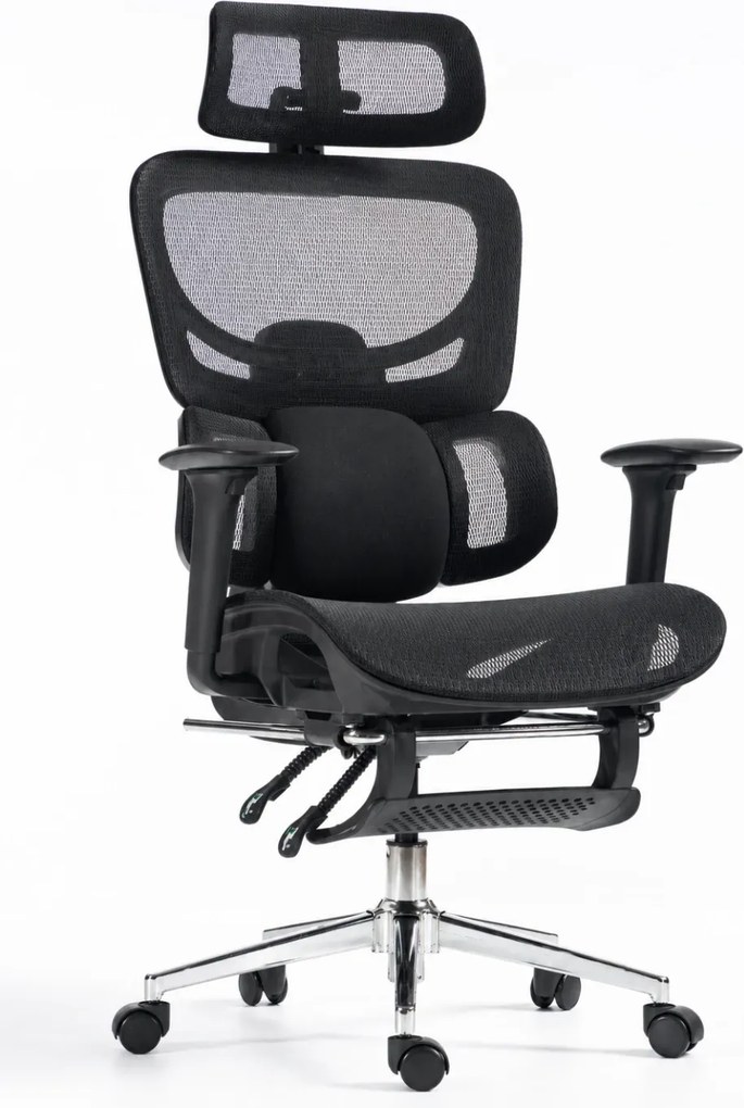 ErgoVanta Mesh — Scaun ergonomic, Suport lombar reglabil, Tetieră 2D, Cotiere reglabile, Mecanism cu blocare, Suport pentru picioare retractabil, Mesh, Negru