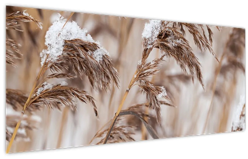 Tablou - Tei (120x50 cm)