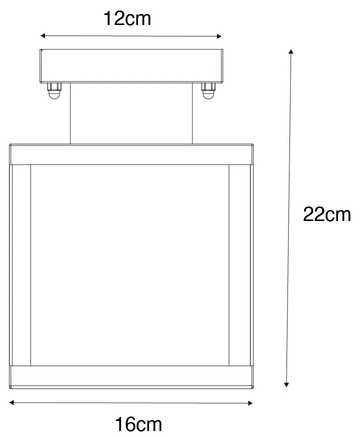 Plafoniera industriala pentru exterior neagra cu auriu - Rotterdam