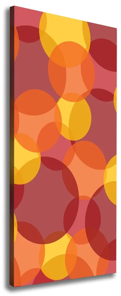 Tablou canvas Cercuri colorate