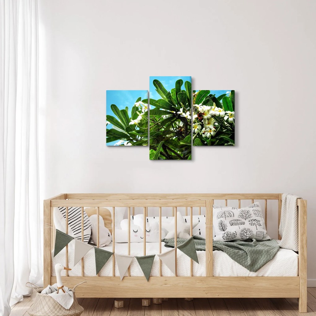 Tablou - Plumeria (90x60 cm)