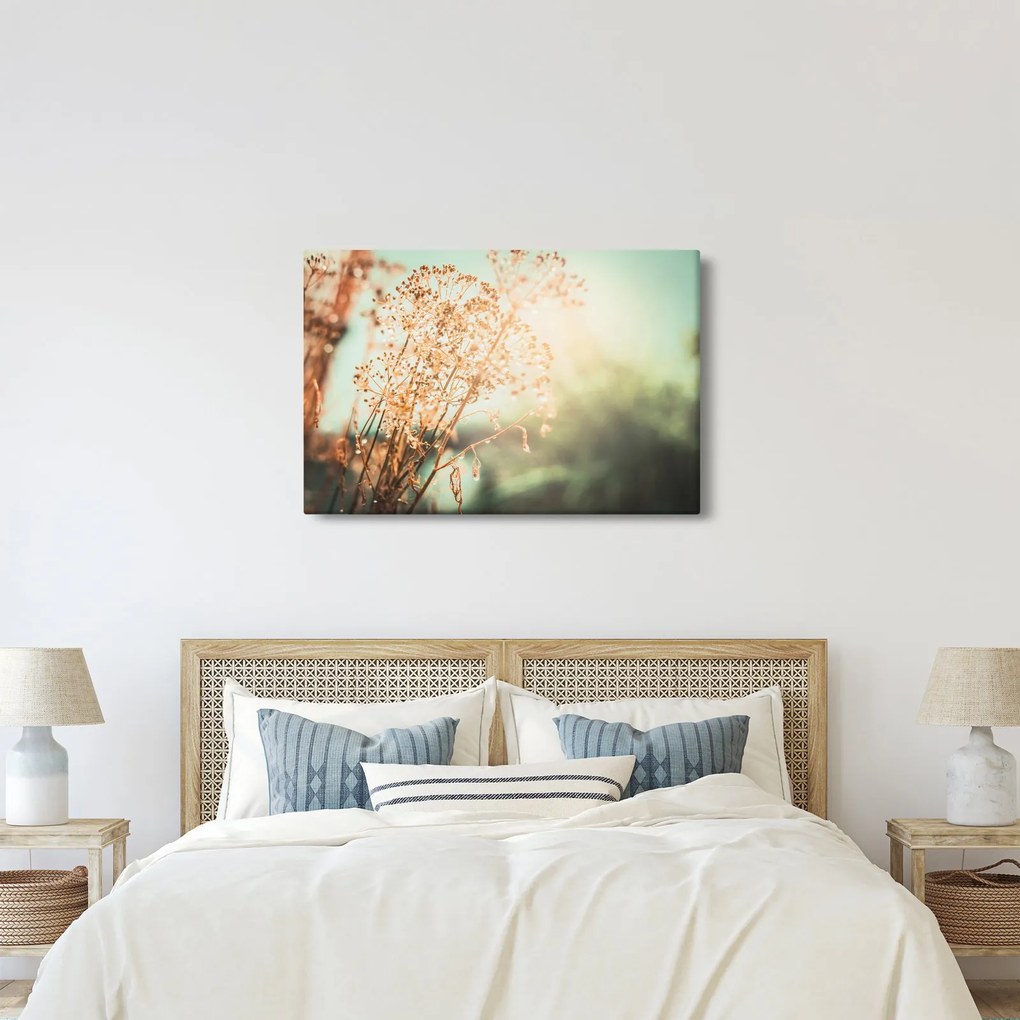 Tablou - Plante după ploaie (90x60 cm)