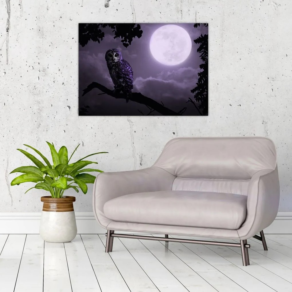 Tablou - Bufniță de noapte, violet (70x50 cm)