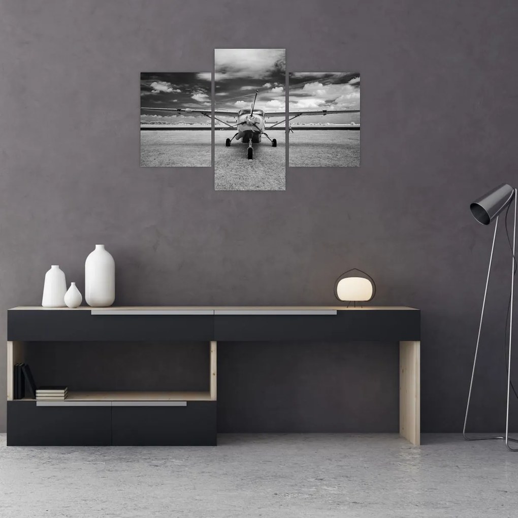 Tablou - Avion alb-negru și alb-negru (90x60 cm)