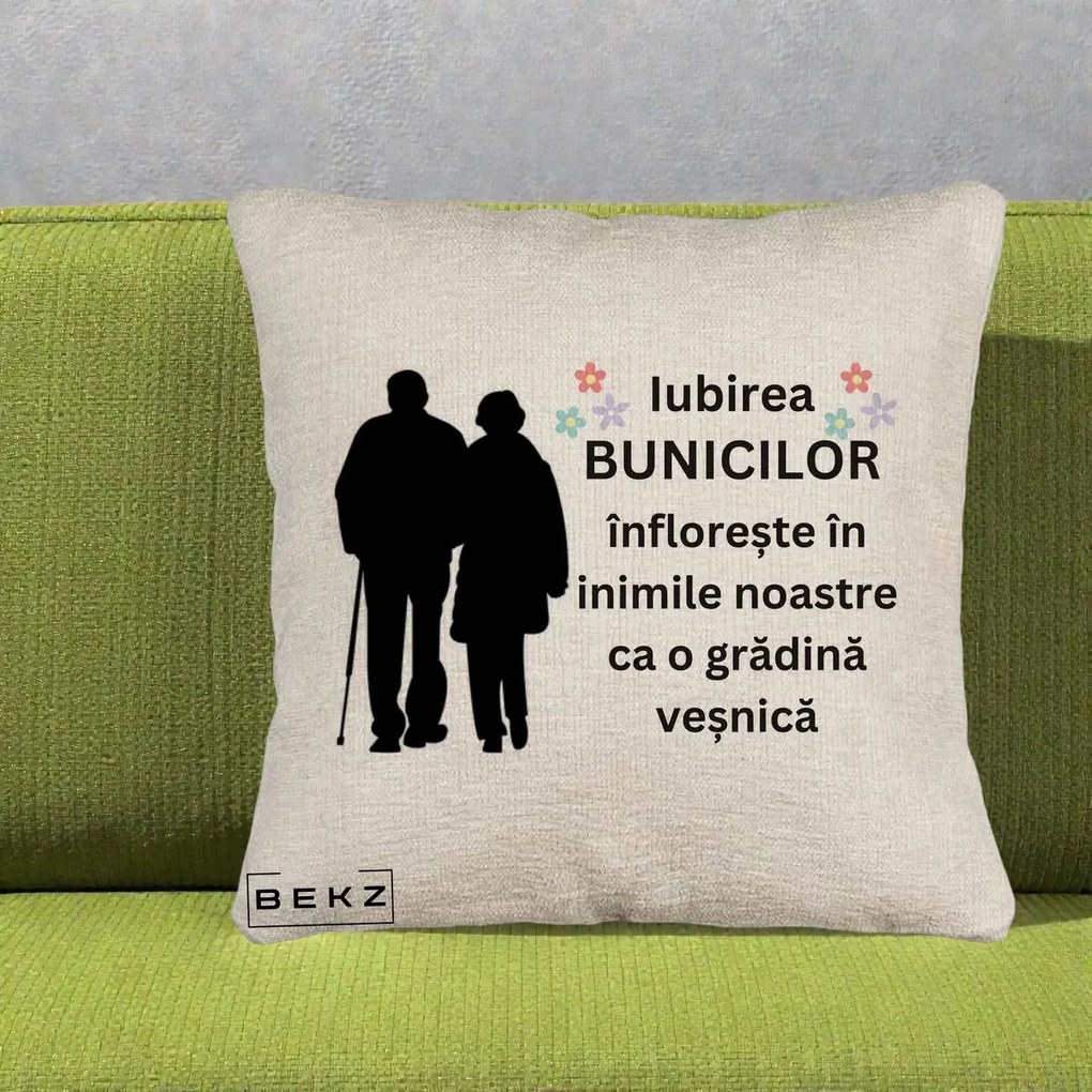 Cadou pentru Bunici - Perna Personalizata Bunicii Iubirea Infloreste Silueta Neagra Flori, 40x40 cm, Bej Canapea, Husa Detasabila, Perna Inclusa, BEKZ®