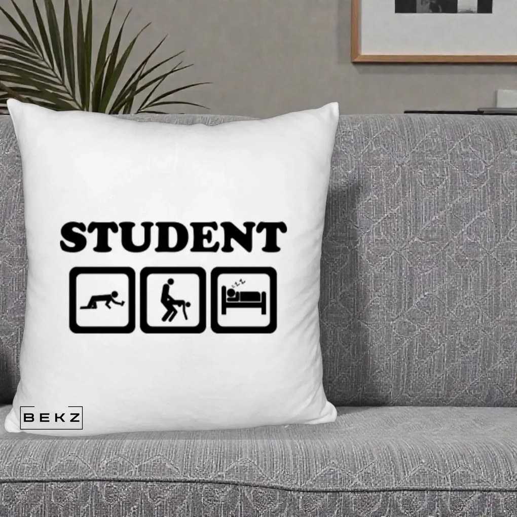 Perna Decorativa Student Life, 40x40 cm, Alb Pufos, Husa Detasabila, Perna Inclusa, BEKZ®