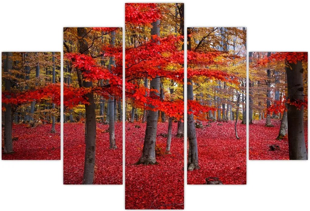 Tablou - Pădurea roșie (150x105 cm)