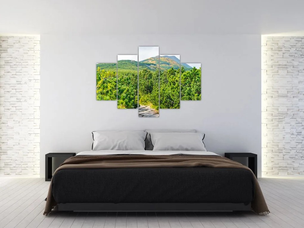 Tablou - Babi Hora, Polonia (150x105 cm)