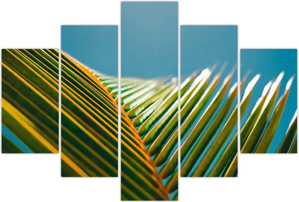 Tablou - Frunze de palmier (150x105 cm)