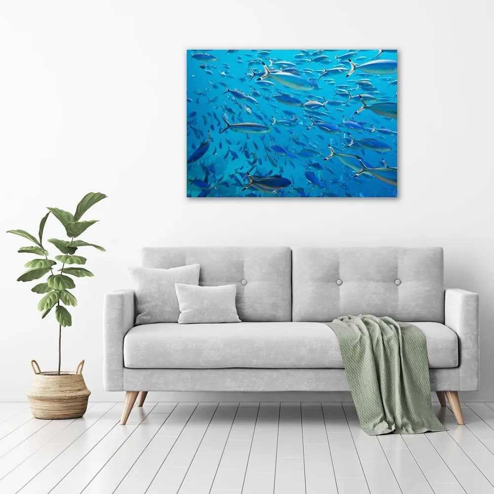 Imprimare tablou canvas Pește coral