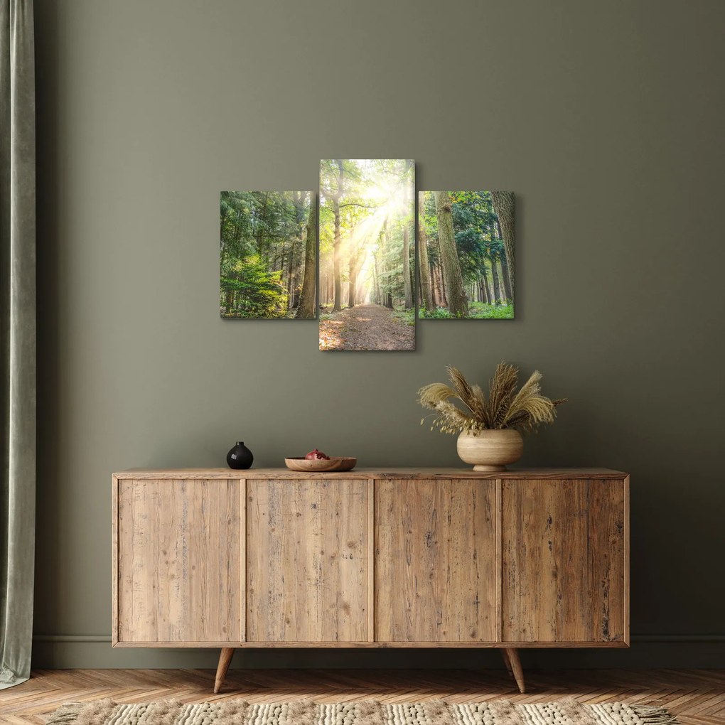 Tablou - Poteci în pădure (90x60 cm)