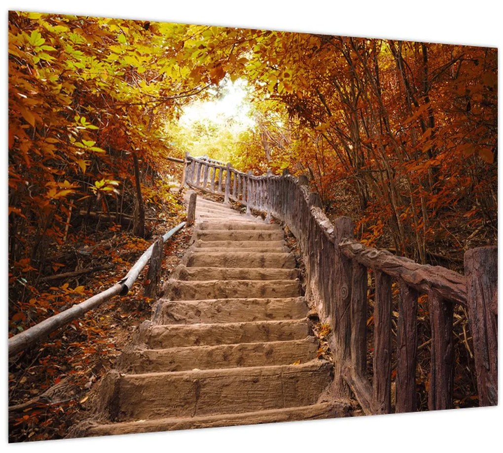 Tablou pe sticlă - Scări în natură în toamnă (70x50 cm)