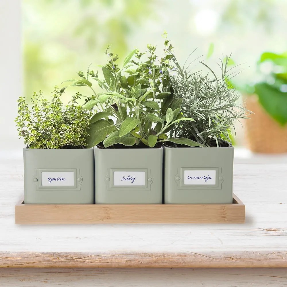 Ghivece 3 buc. din metal pentru ierburi aromatice Greenish – Orion