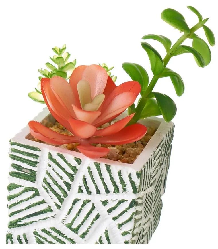 Plante artificiale 3 buc. (înălțime 12 cm) Cactus – Casa Selección