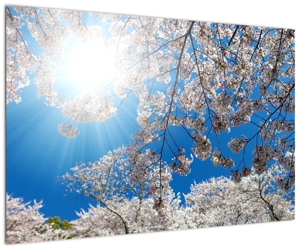Tablou - Flori de cireș (90x60 cm)