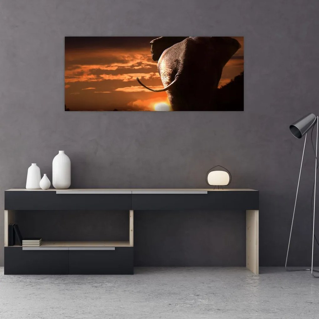 Tablou cu elefant (120x50 cm)