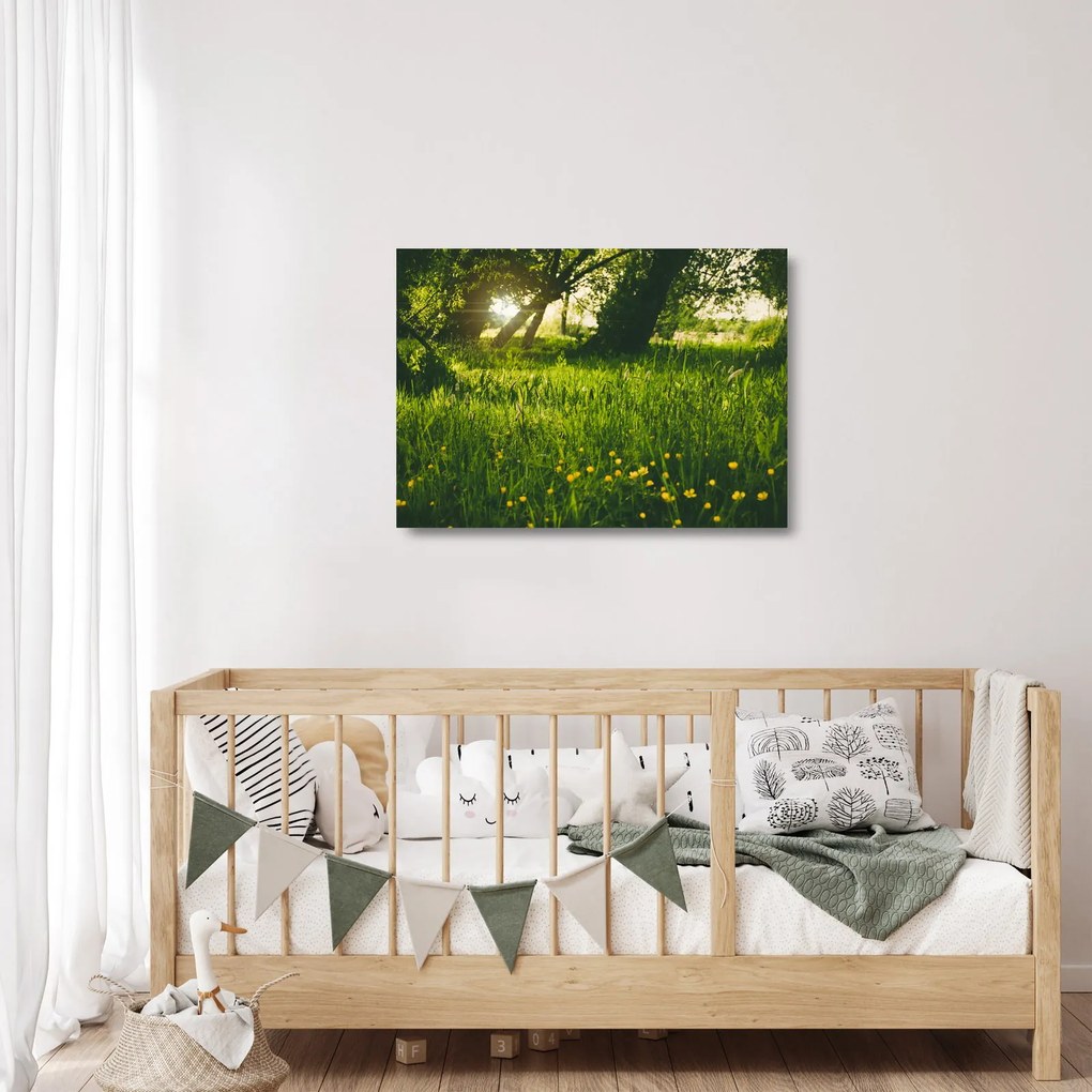 Tablou pe sticlă cu natura - lunca (70x50 cm)