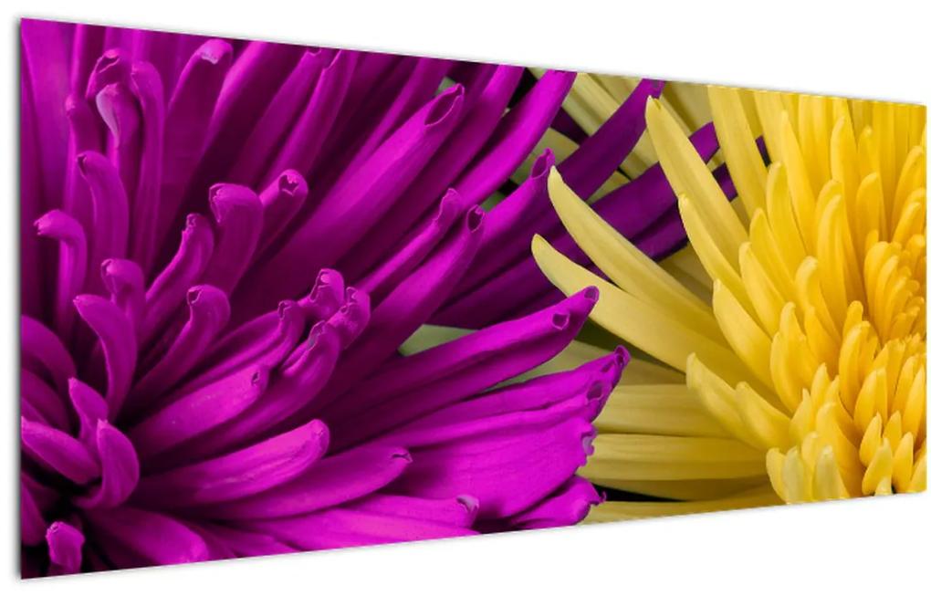 Tablou - detailu cu flori (120x50 cm), în 40 de alte dimensiuni noi