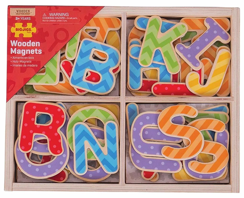 SET LITERE MAGNETICE DE TIPAR - 49 PIESE - BIGJIGS (BJ264)