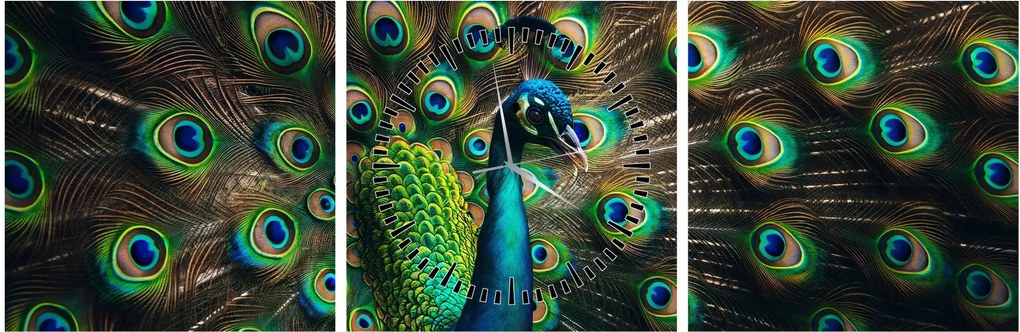 Tablou – Păun (cu ceas) (90x30 cm)