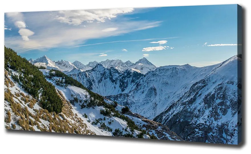 Tablou pe pânză canvas Coroana tatra