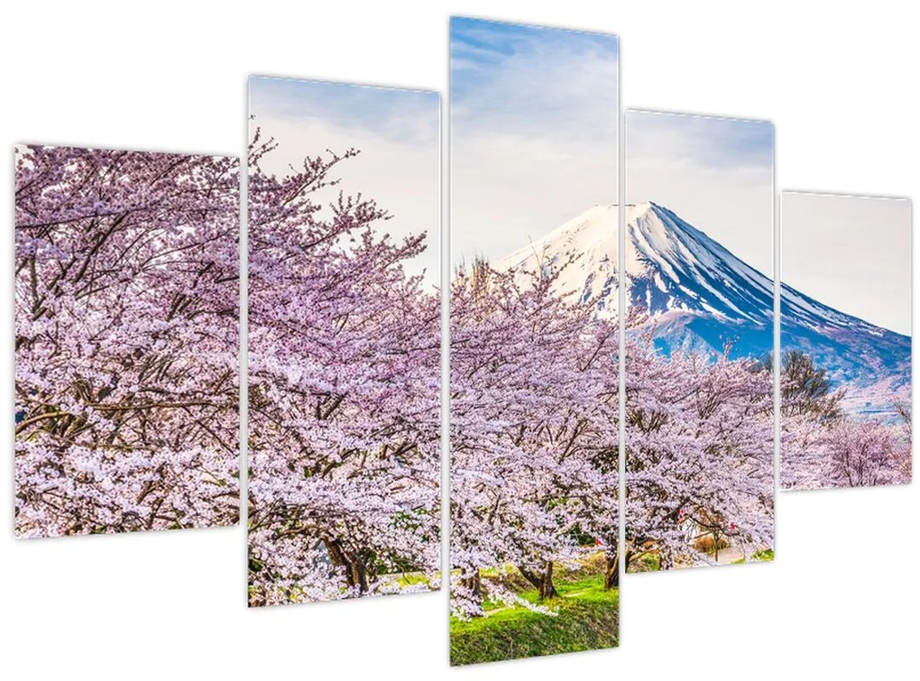 Tablou - Japonia în primăvară (150x105 cm)