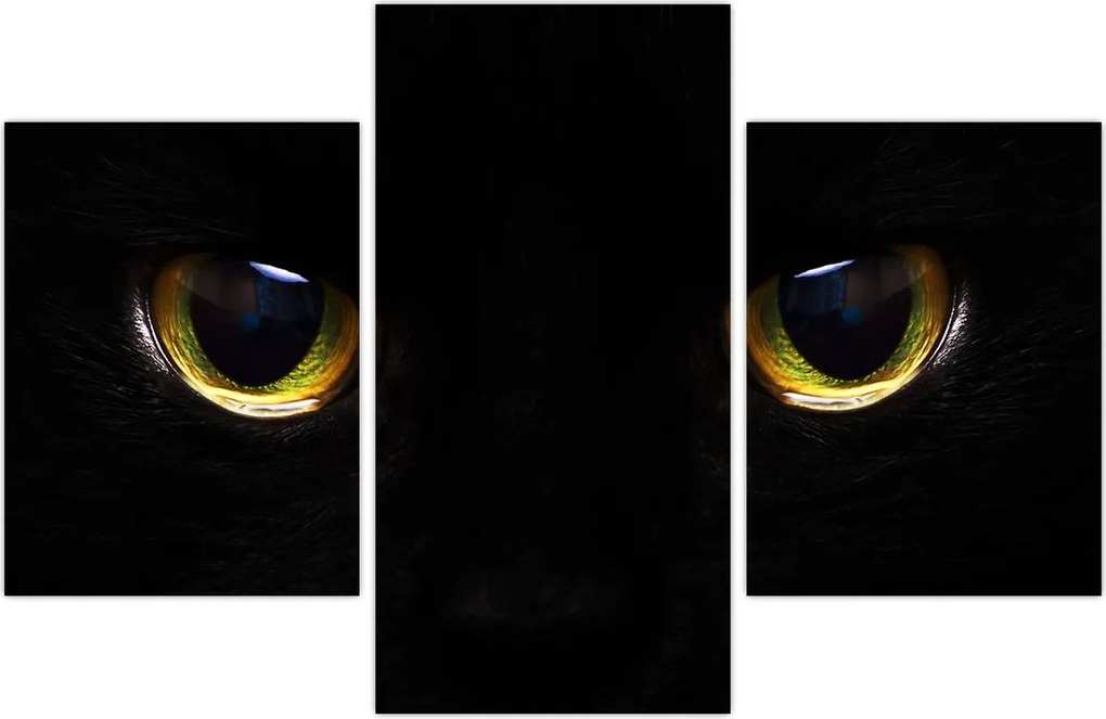 Tablou - Ochi de pisică (90x60 cm)