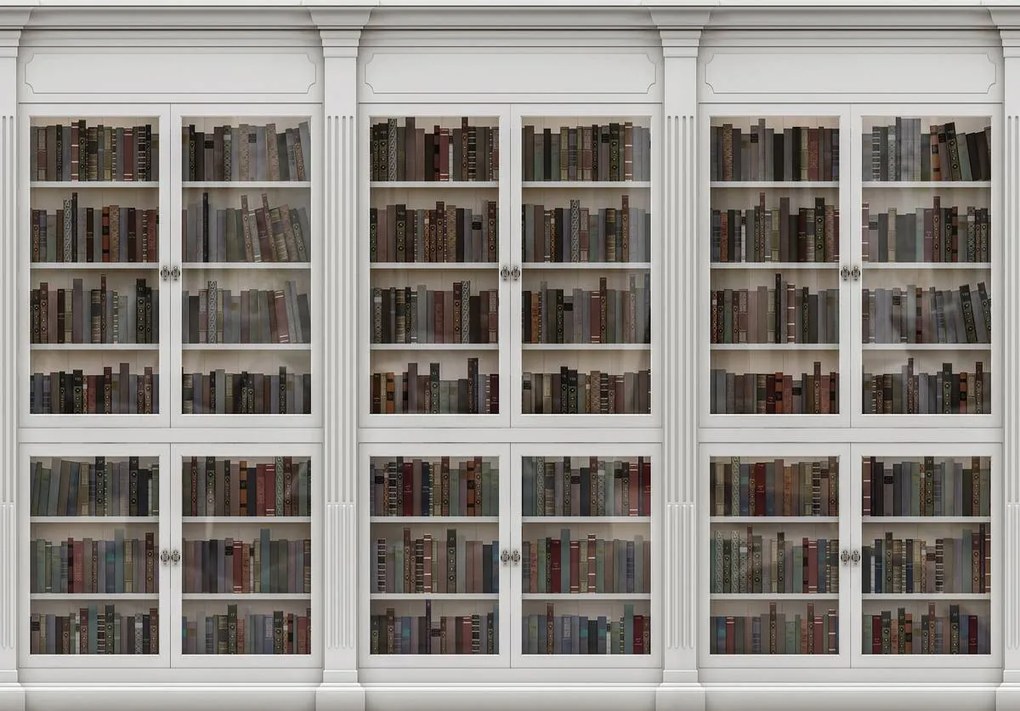 Fototapet - Biblioteca plină de cărți (152,5x104 cm)