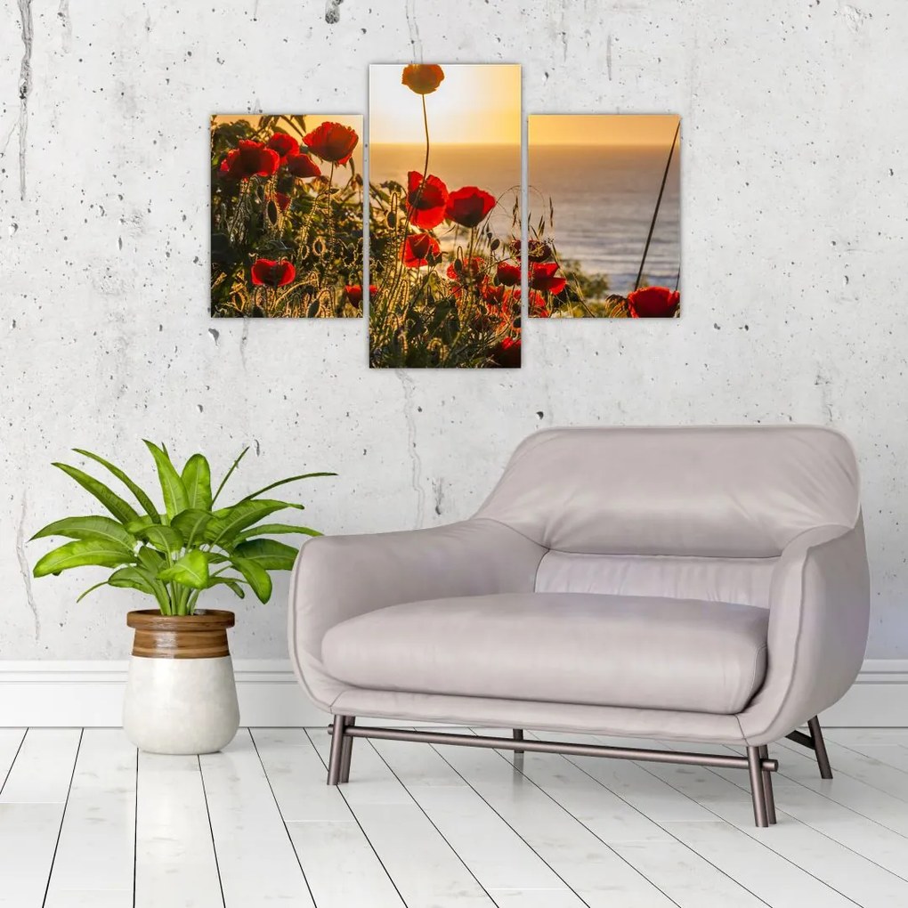 Tablou cu apus de soare cu flori de maci (90x60 cm)