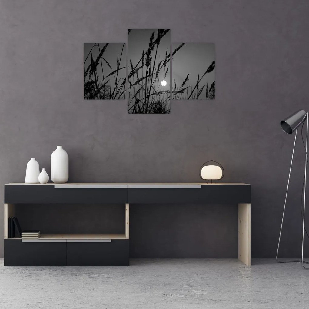 Tablou - Pajiște cu apus de soare (90x60 cm)