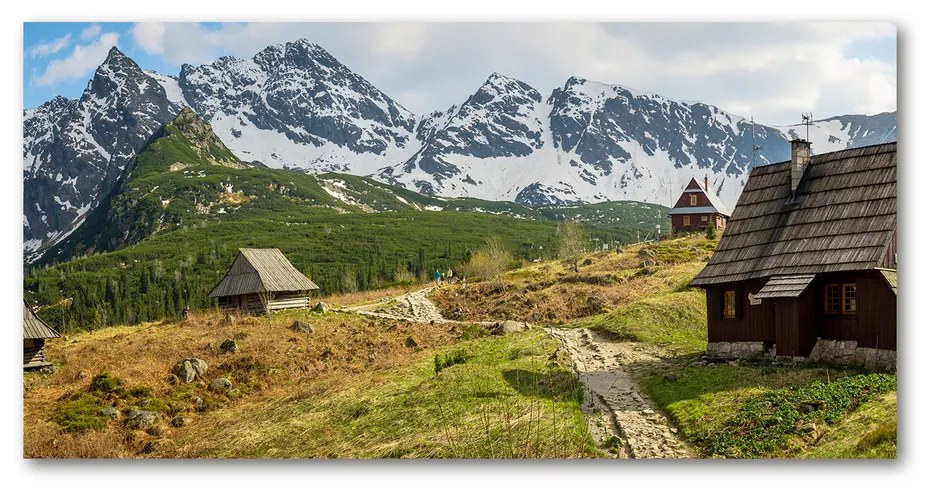 Tablou acrilic Hale tatry