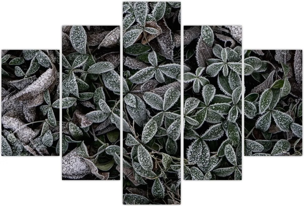 Tablou - Plante înghețate (150x105 cm)