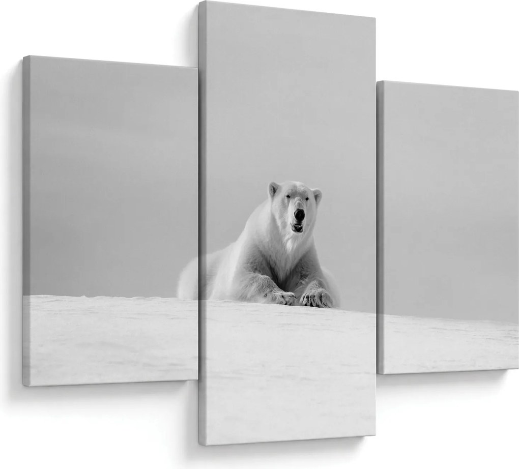 Tablou - Urs polar,alb-negru (90x60 cm)