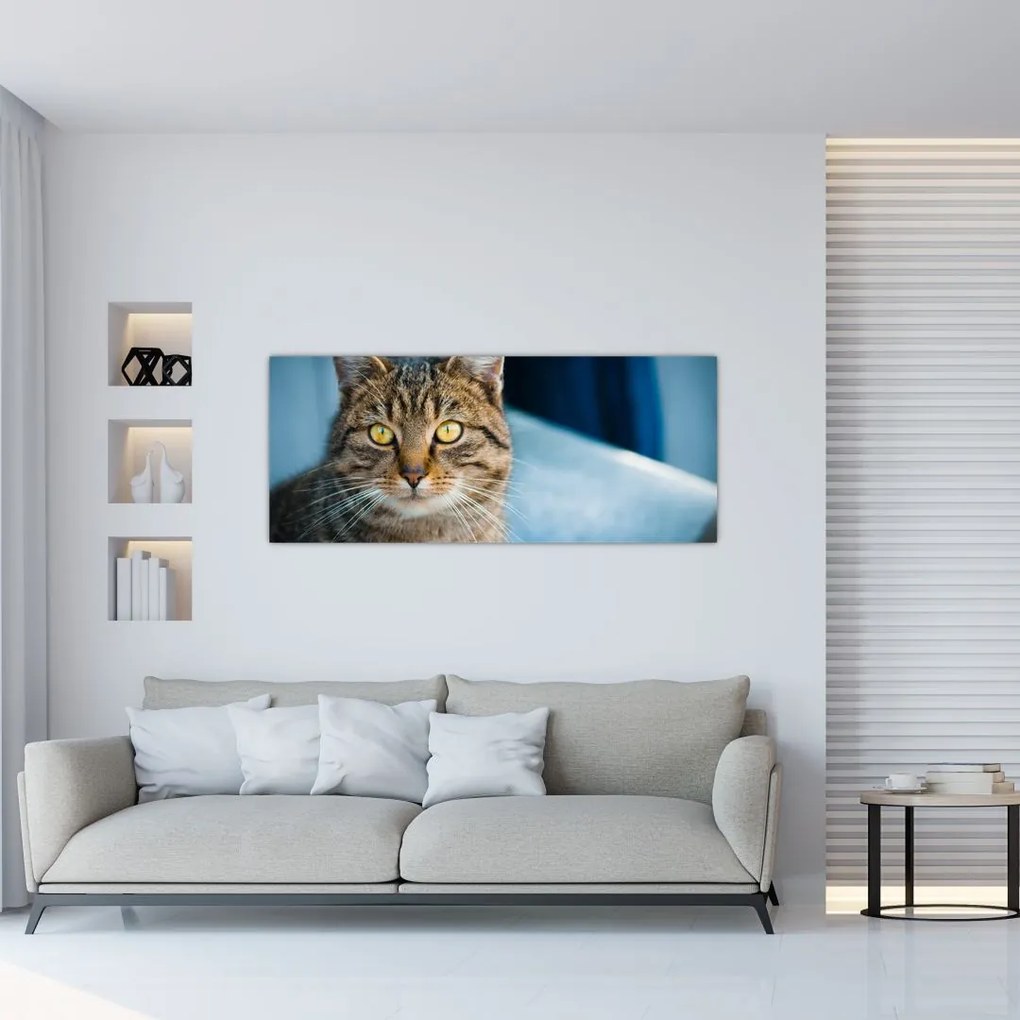 Tablou - Pisica domestică (120x50 cm), în 40 de alte dimensiuni noi
