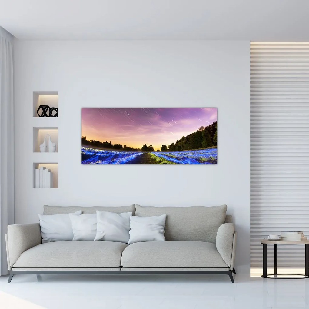 Tablou cu câmp colorat (120x50 cm)