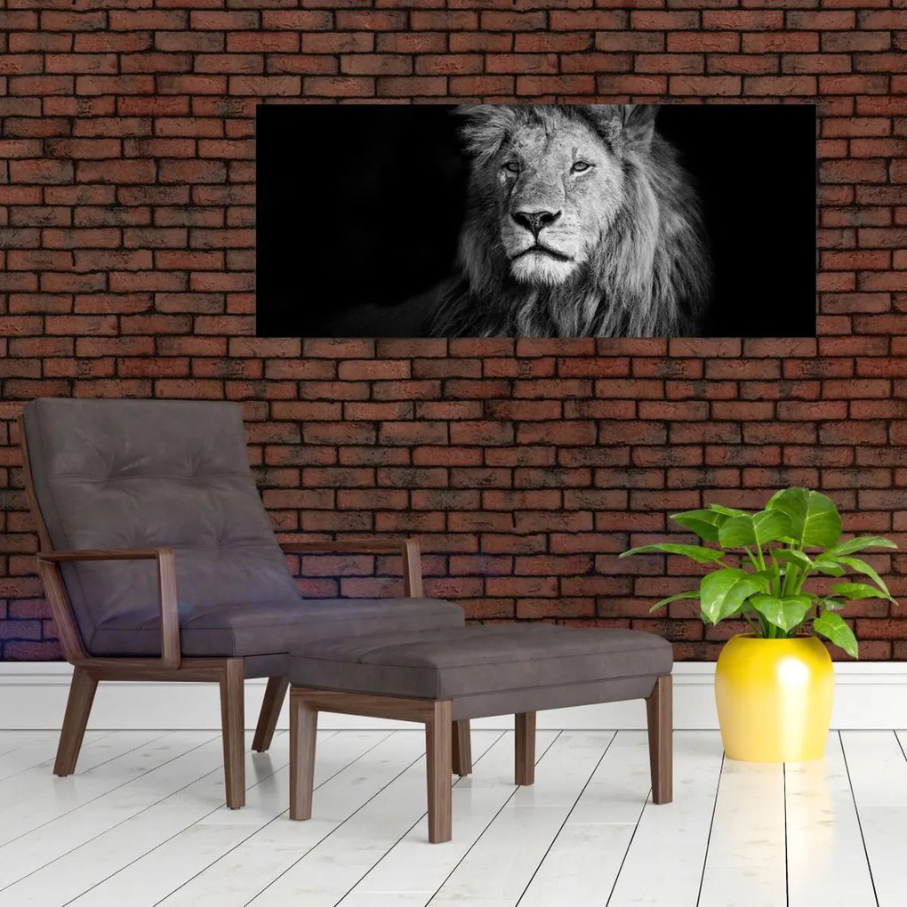 Tablou - Leu, alb și negru (120x50 cm)